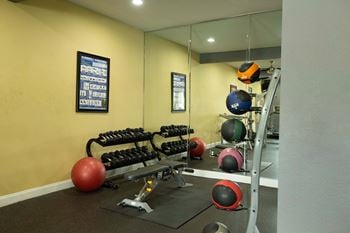 A gym with a red ball, a black ball, and a grey bench.